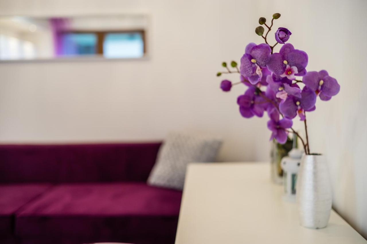 Appartement Rakowicka Wawelofts Krakau